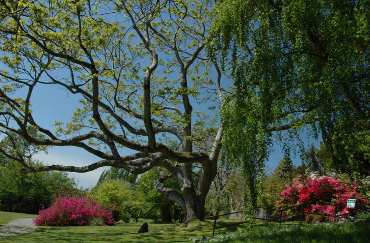 Darts Hill Garden Park, Surrey, Canada, Canada